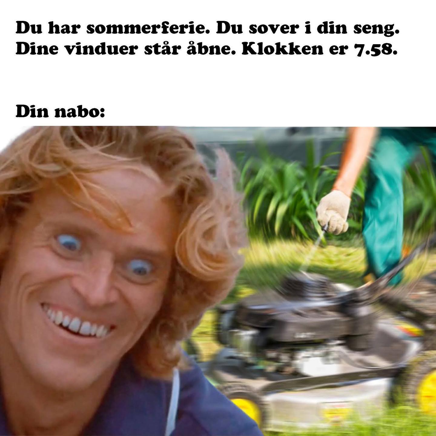 Hvorfor