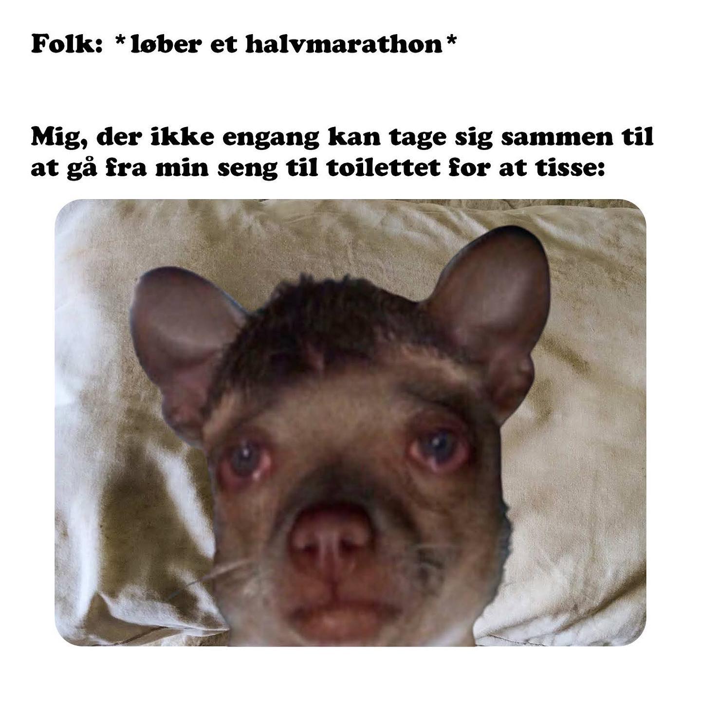 Tillykke til alle, der har gennemført @cphhalf i dag 🏻
